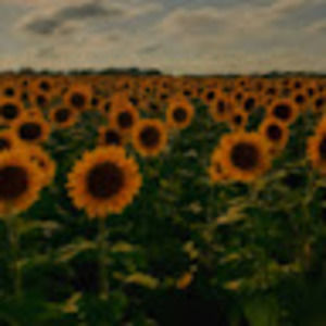 Meet your Posher, Serenity